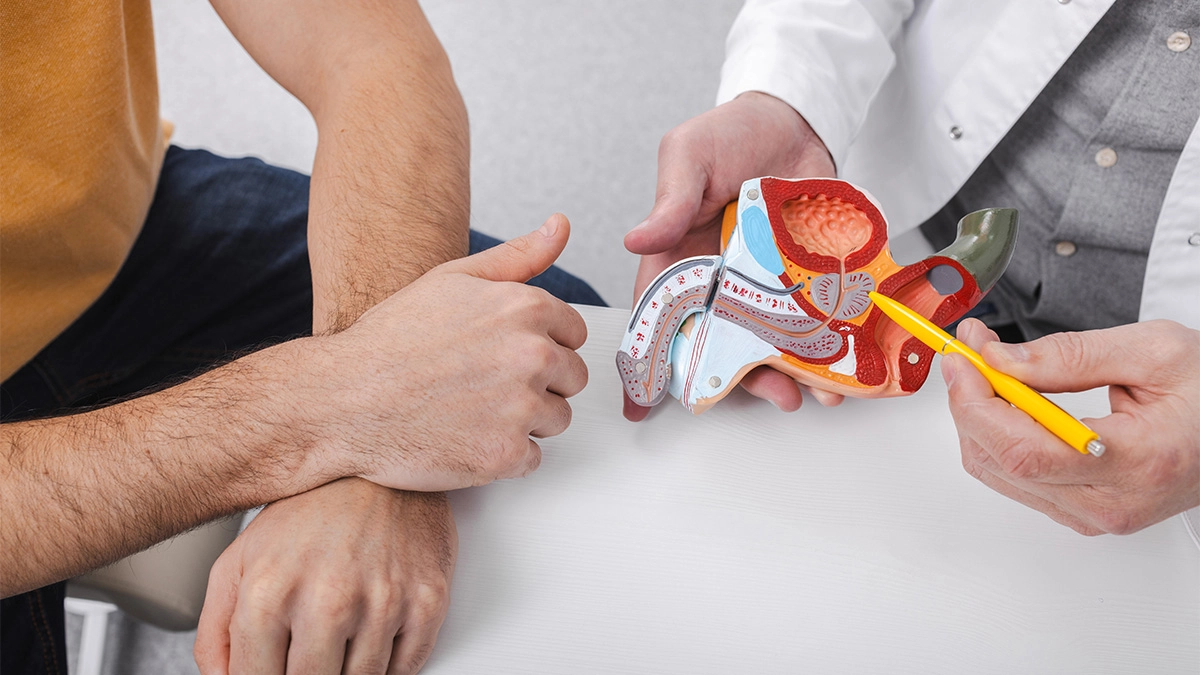 Foreskin Problems in Adults: Causes, Symptoms & When to Seek Help
